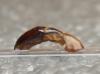 211032 – Photo : Christophe Le Pogam – Togo